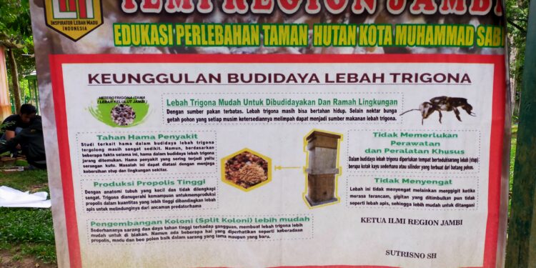 Pengunjung Taman Hutan Kota Diberikan Edukasi Tentang Budidaya Madu Trigona