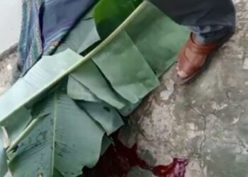 Kecelakaan Tunggal, Pengemudi Sepeda Motor Jatuh dan Tewas Ditempat