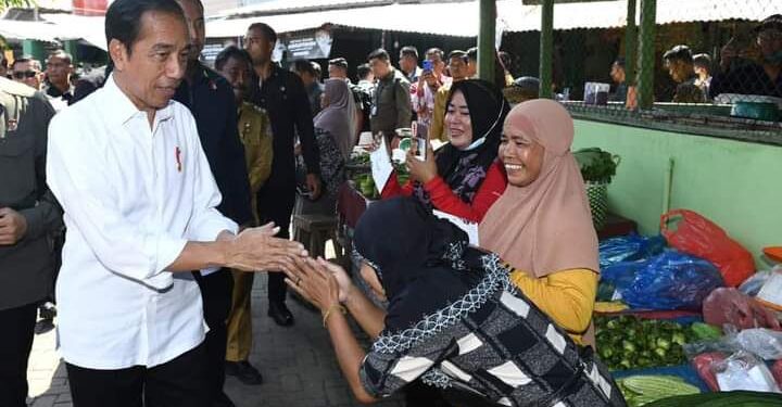 Presiden Jokowi Tinjau Harga Kebutuhan Pokok di Pasar Brahrang