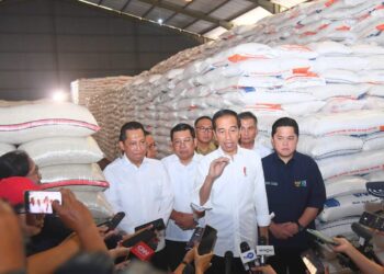 Presiden Jokowi Tinjau Ketersediaan Stok CBP di Gudang Bulog