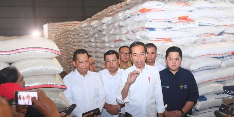 Presiden Jokowi Tinjau Ketersediaan Stok CBP di Gudang Bulog