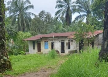 Abang Beradik Diduga Bandar Sabu Transaksi di Gang Suluk Kampung Pajak 