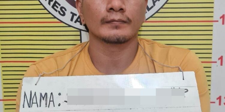 Usai Nyabu Main Ludo, Pengedar Sabu Ditangkap Polres Tapsel