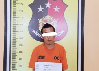 Unit Reskrim Polsek Padang Bolak Tangkap Dugaan Pelaku Nakortika Jenis Sabu EN (43) Warga Bolatan