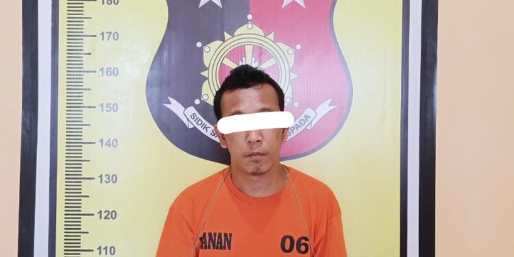Unit Reskrim Polsek Padang Bolak Tangkap Dugaan Pelaku Nakortika Jenis Sabu EN (43) Warga Bolatan