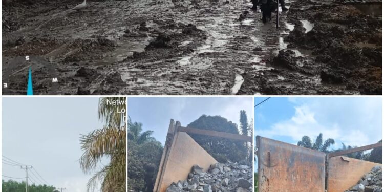 Kades Danau Lancang Beri Penjelasan Tentang Kekayaan dan Jalan Rusak di Desanya 