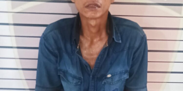 Polsek Pancur Batu Ringkus Bandar Sabu di Ladang Bambu