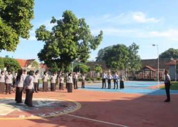 Budaya 5S Sebagai Bentuk Pelayanan Prima