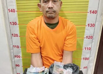 Pengungkapan Kasus Narkoba Polres Tapsel Tangkap SS Warga Padang Sidempuan Utara