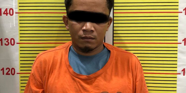 Polres Tapanuli Selatan Tangkap Pengedar Sabu di Paluta, Barang Bukti Disita