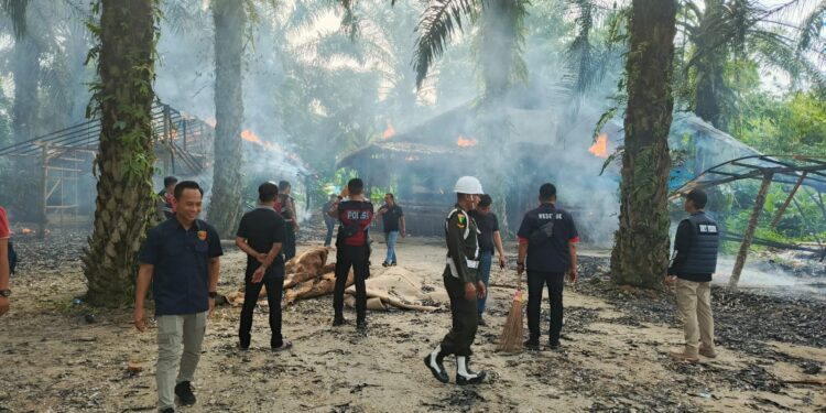 Arena Judi Sabung Ayam di Pancur Batu Digerebek, Denpom I/5 Medan Turun Tangan
