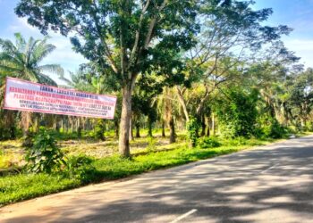 Warisan yang Dirampas: Kesultanan Asahan Menuntut Keadilan Atas Tanah Eks HGU BSP