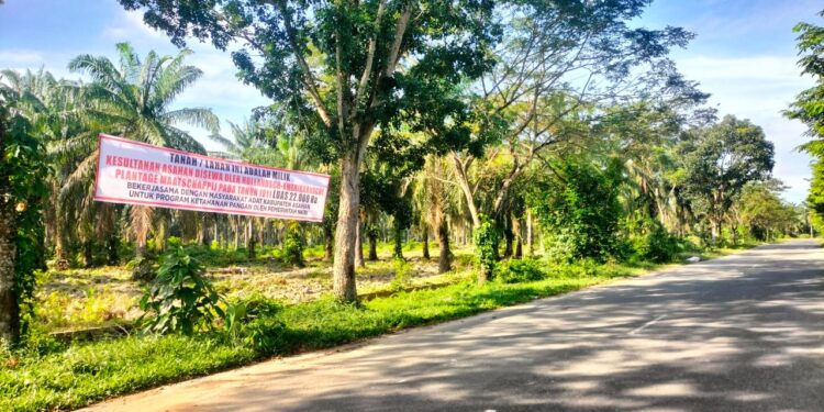 Warisan yang Dirampas: Kesultanan Asahan Menuntut Keadilan Atas Tanah Eks HGU BSP