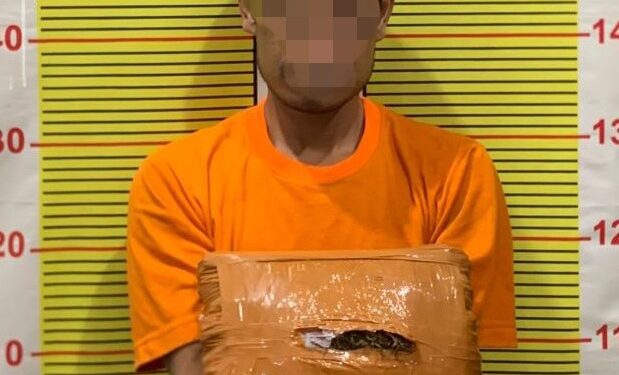 Personil Satres Narkoba Polres Tapsel Barang Bukti Narkoba Diduga Jenis Ganja Seberat 2000 gram