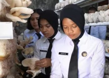 Panen Jamur Tiram Hasil Budidaya Warga Binaan Rutan I Medan
