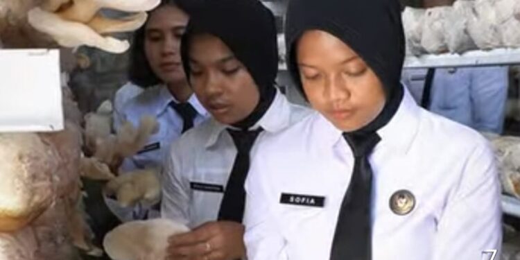 Panen Jamur Tiram Hasil Budidaya Warga Binaan Rutan I Medan