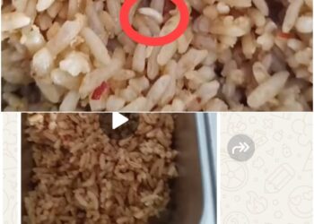 Potret Buram MBG di Kampar: Nasi Goreng Berbelatung ‘Dihidangkan’ ke Siswa SDN 016 Kusau Makmur