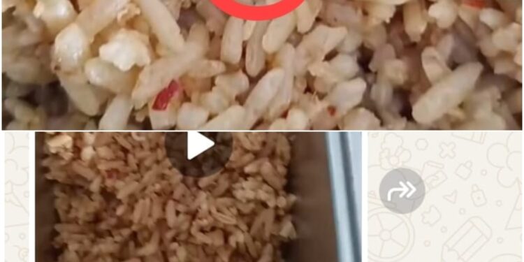 Potret Buram MBG di Kampar: Nasi Goreng Berbelatung ‘Dihidangkan’ ke Siswa SDN 016 Kusau Makmur