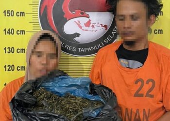 Nekat Edarkan 3 Kg Ganja, Dua Pelaku Ditangkap Saat Melintas di Angkola Muara Tais