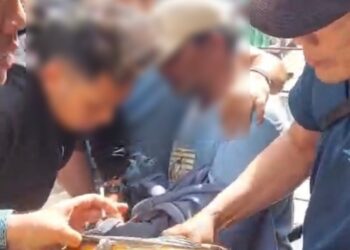 Terlibat Narkoba, Seorang Kakek Nekat Jual Ganja Dibekuk Polisi di Jalan Bunga Cempaka Medan, 880 Gram Ganja Disita