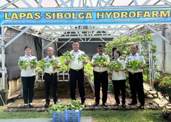 Lapas Sibolga Panen 65 Kg Pakcoy, Wujudkan Pembinaan Kemandirian Berbasis Ketahanan Pangan